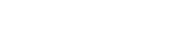 Bradford White logo